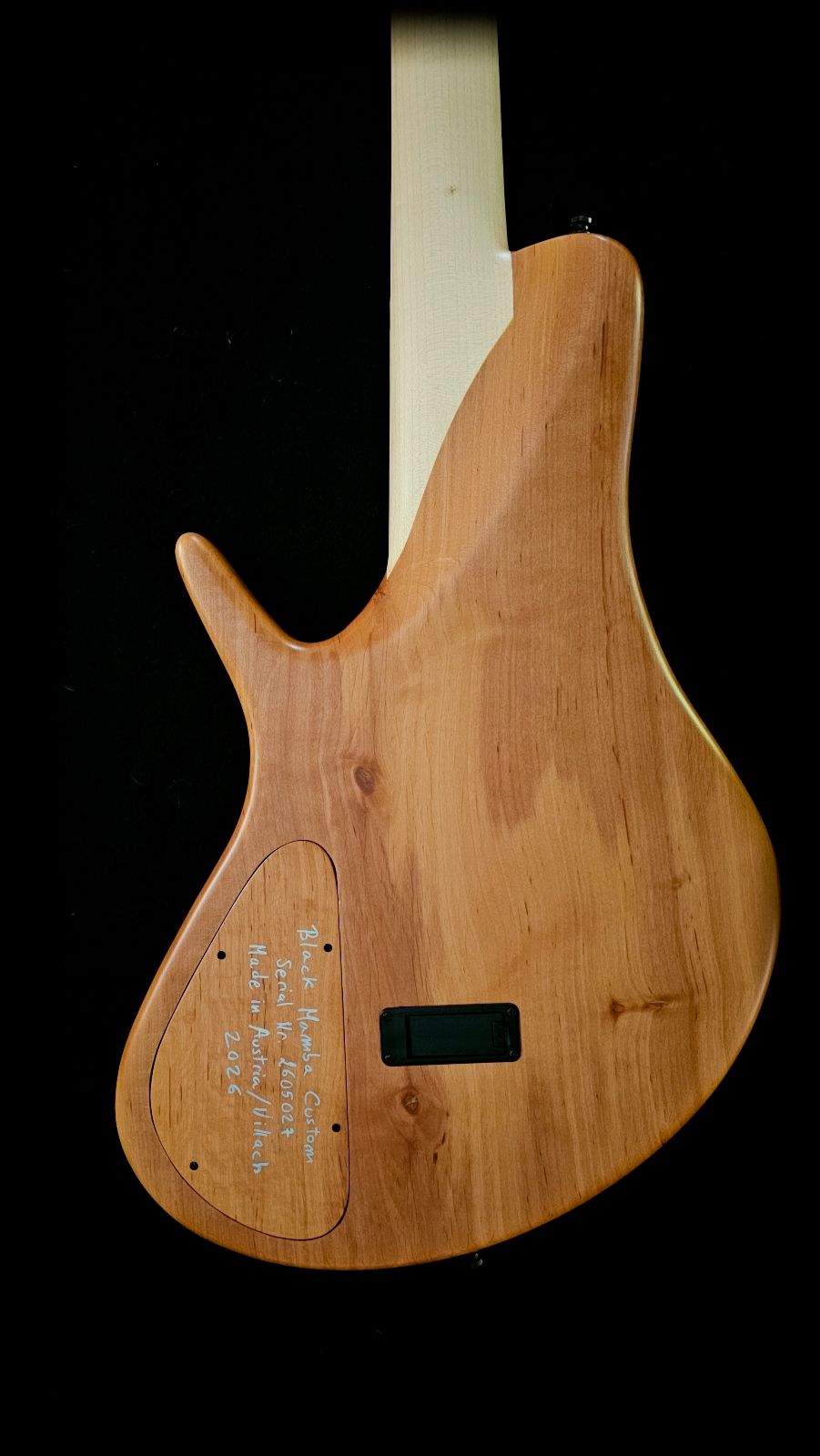 Electric Bass back