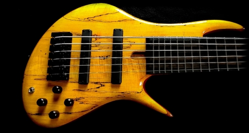 Bass 6 String Tung style