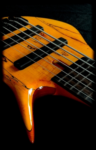 Body3 (1)